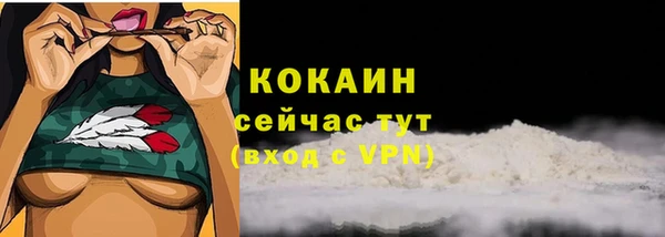 СК Покров