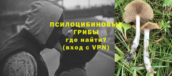 СК Покров