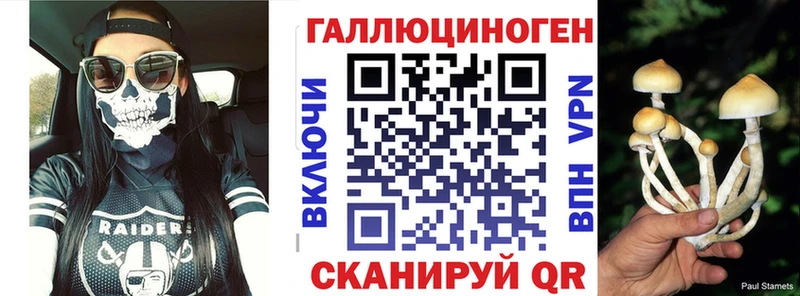 Купить где  Берёзовка  Псилоцибиновые грибы Psilocybine cubensis 