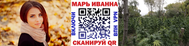 Шишки марихуана сатива Берёзовка